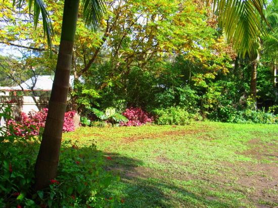 Real Estate in Bellingen