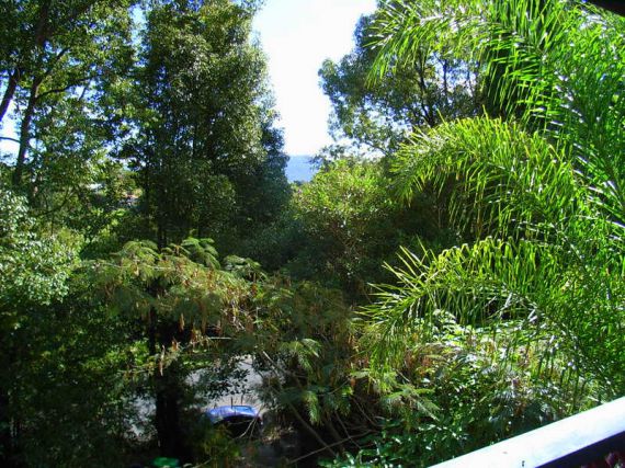 Bellingen real estate Sold