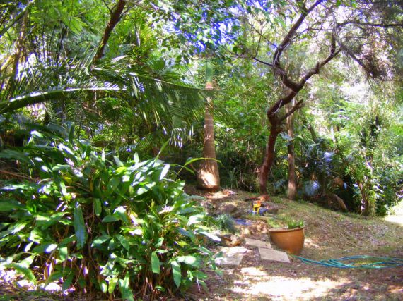 Open for inspection in Bellingen