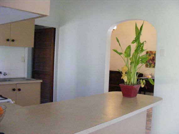 Open for inspection in Bellingen
