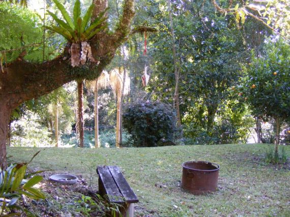 Real Estate in Bellingen