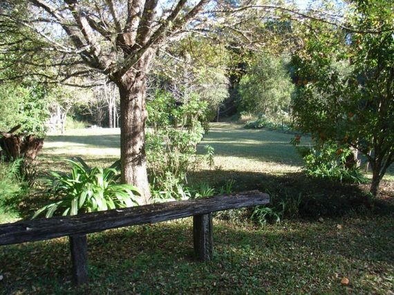 Real Estate in Bellingen