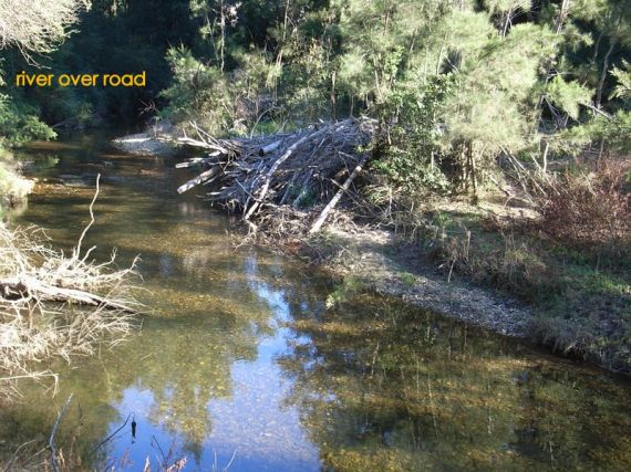 Real Estate in Bellingen
