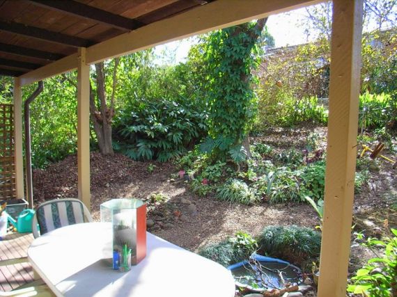 Real Estate in Bellingen
