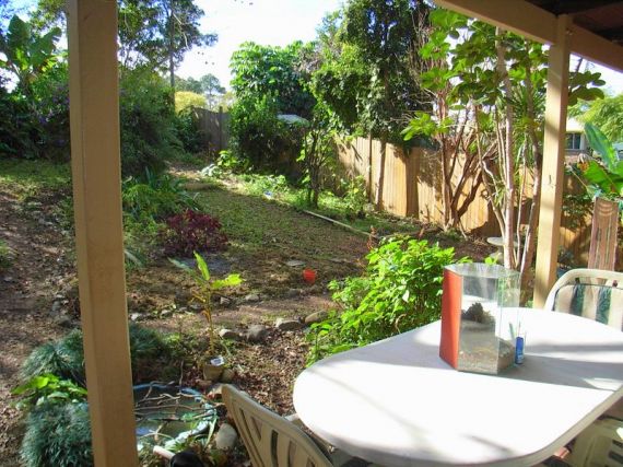 Open for inspection in Bellingen