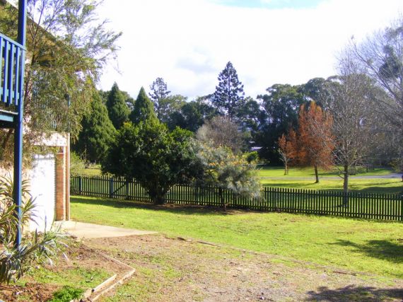 Real Estate in Bellingen