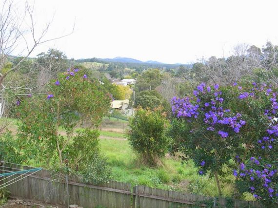 Real Estate in Bellingen