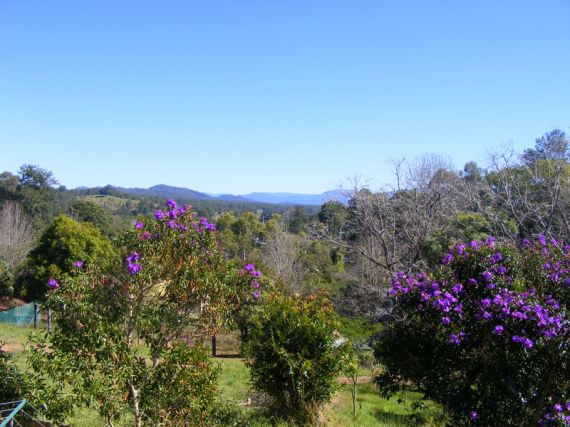 Bellingen Properties Sold