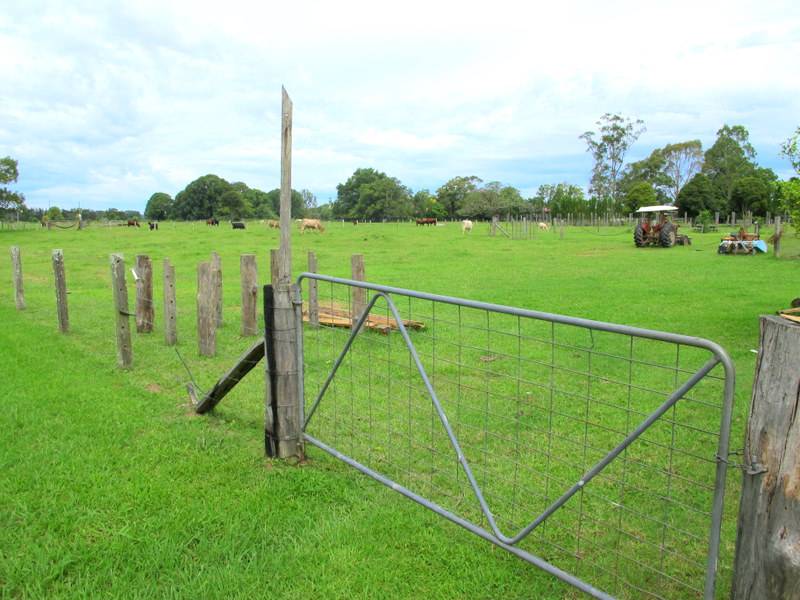 Raleigh real estate Sold