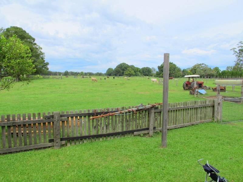 Real Estate in Raleigh