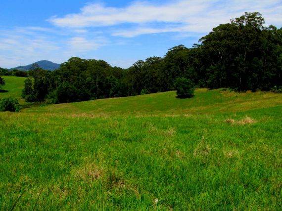 Real Estate in Valla