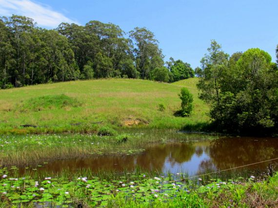 Real Estate in Valla