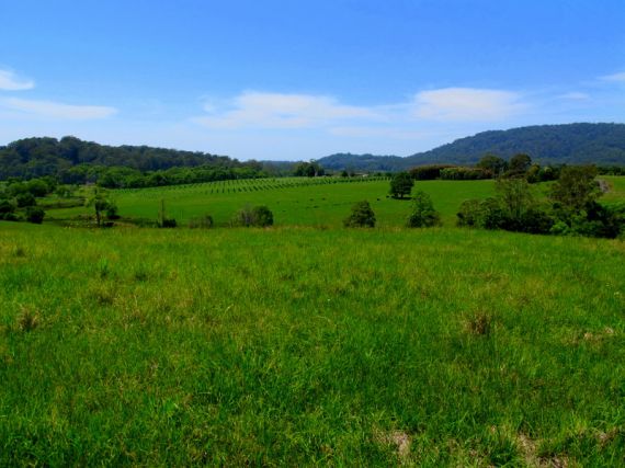 Real Estate in Valla