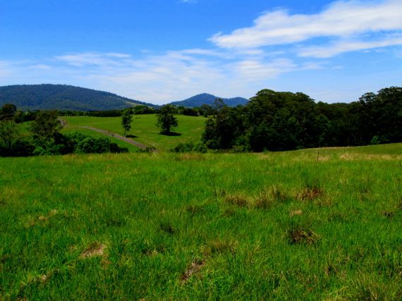 Real Estate in Valla