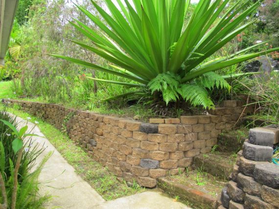 Real Estate in Bellingen