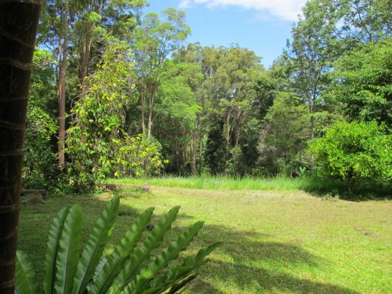 Real Estate in Bellingen