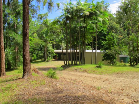 Real Estate in Bellingen