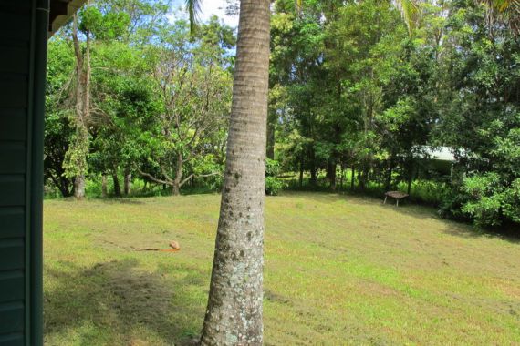 Real Estate in Bellingen