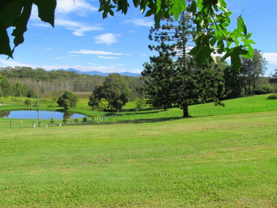 Real Estate in Urunga