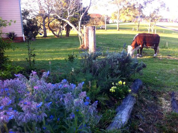 Real Estate in Urunga