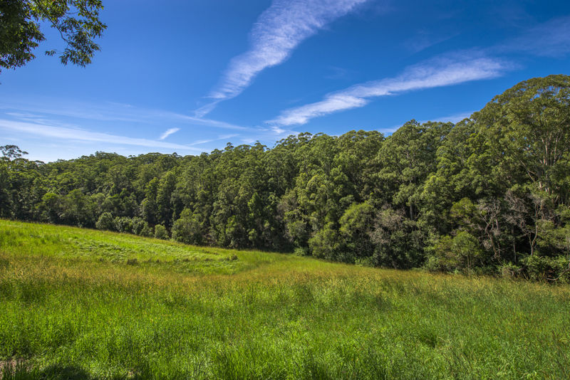 Real Estate in Valla