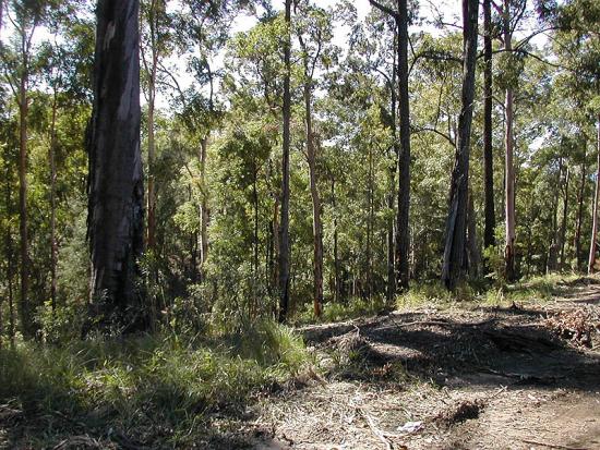 Valla real estate Sold