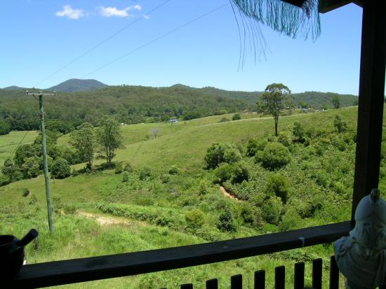 Real Estate in Bellingen
