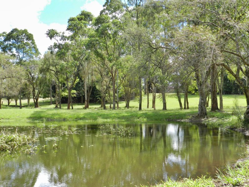 Property in Maleny - Sold