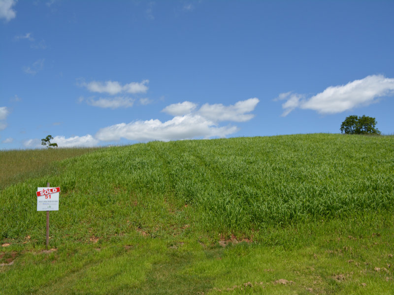 Property in Maleny - Sold